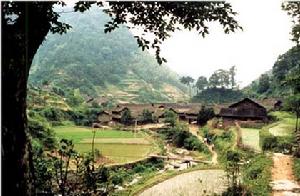 大熊山森林公園 大熊山森林公園