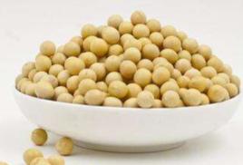 黃豆[植物名稱]