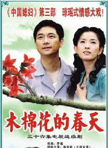 木棉花的春天 木棉花的春天