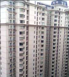 仟禧金泉國際 仟禧金泉國際