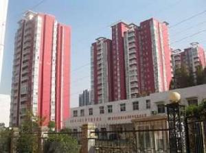 天昊玫瑰 天昊玫瑰