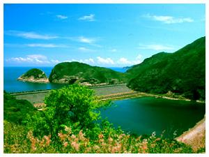 （圖）新巴792M線