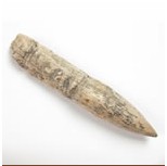 新石器時代馬家浜文化骨鏃 新石器時代馬家浜文化骨鏃