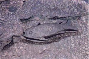 重慶白鶴梁水下博物館 重慶白鶴梁水下博物館