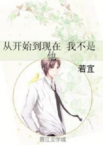 從開始到現在我不是他