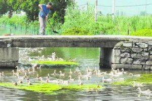 小涇浦村 小涇浦村