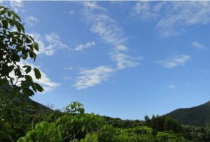 海橋·清泉谷 海橋·清泉谷