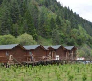 梭磨河森林公園 梭磨河森林公園