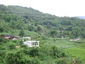 勐力自然村 勐力自然村