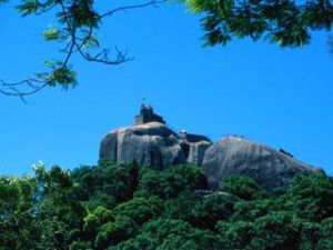 廈門市鼓浪嶼風景名勝區 廈門市鼓浪嶼風景名勝區