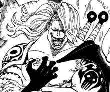 水軍[動漫《海賊王》青椒家族率領的組織]