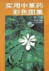 實用中草藥彩色圖集 實用中草藥彩色圖集