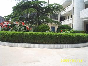 泗陽廣播電視大學 泗陽廣播電視大學