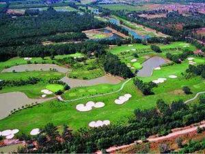 楊柳青森林公園