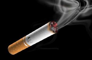 尼古丁[一種存在於茄科植物（茄屬）中的生物鹼]