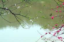 旅遊區秀美風光