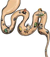 胃癌&middot;食管癌