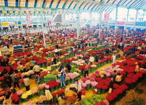 昆明斗南花卉市場