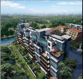 金地灣流域 金地灣流域