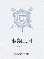 翻翔三國