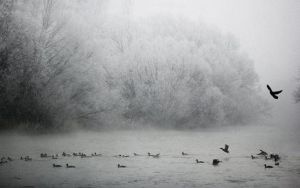 伊巴爾河 伊巴爾河