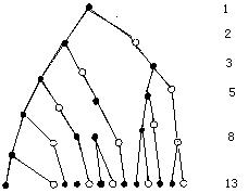 兔子問題 兔子問題