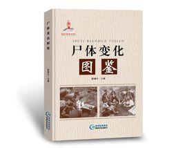 屍體變化圖鑑 屍體變化圖鑑