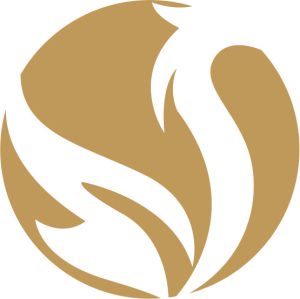 元匯天下 元匯天下