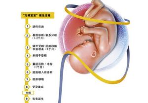 無癌寶寶 無癌寶寶