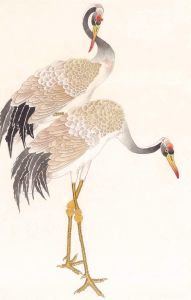 鶴亦敗道 鶴亦敗道