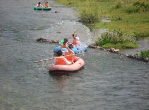 龍鳳漂流 龍鳳漂流