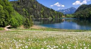 阿拉特湖餐廳酒店