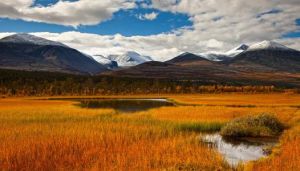 龍達訥國家公園 龍達訥國家公園