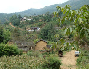 隆陽區蒲縹鎮冷水箐村委會 隆陽區蒲縹鎮冷水箐村委會