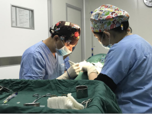 重質量輕數量，每一例手術都是一件藝術品