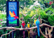 新加坡裕廊飛禽公園