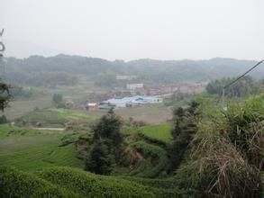 翠郊村 翠郊村