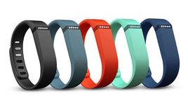 Fitbit Flex Fitbit Flex