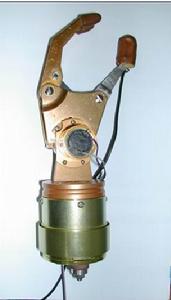 植入式骨整合假肢 植入式骨整合假肢