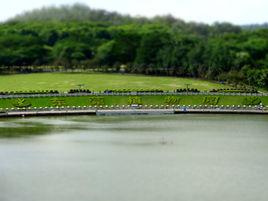 綠色世界 綠色世界