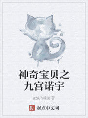 神奇寶貝之九宮諾宇