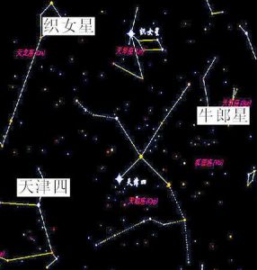 牽牛星 牽牛星