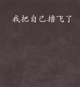 我把自己擼飛了 我把自己擼飛了