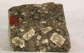 交代斑狀結構 交代斑狀結構