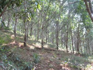 么等老寨村 么等老寨村