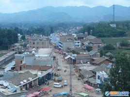 龍樹村[雲南魯甸縣龍樹鄉龍樹鄉龍樹村]
