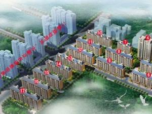 金滿華府 金滿華府