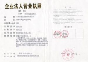 公司制國家 公司制國家