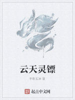 雲天靈鏢 雲天靈鏢