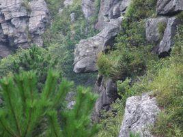 茫盪山省級風景名勝區 茫盪山省級風景名勝區